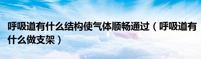 呼吸道有什么结构使气体顺畅通过（呼吸道有什么做支架）