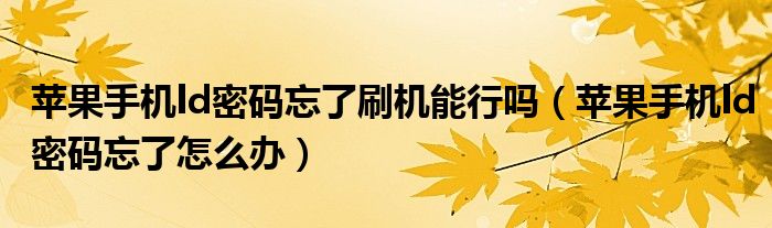 苹果手机ld密码忘了刷机能行吗（苹果手机ld密码忘了怎么办）