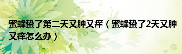 蜜蜂蛰了第二天又肿又痒（蜜蜂蛰了2天又肿又痒怎么办）