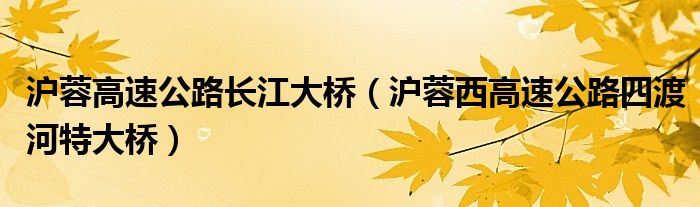 沪蓉高速公路长江大桥（沪蓉西高速公路四渡河特大桥）