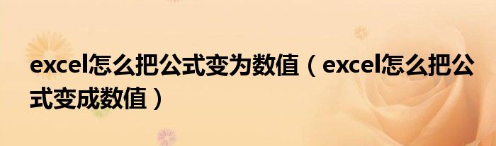excel怎么把公式变为数值（excel怎么把公式变成数值）
