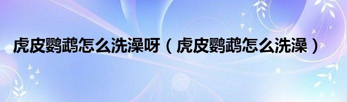 虎皮鹦鹉怎么洗澡呀（虎皮鹦鹉怎么洗澡）