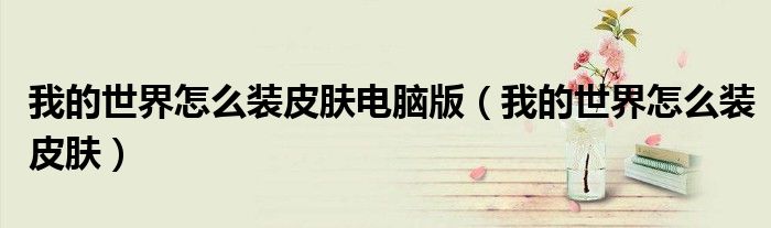 我的世界怎么装皮肤电脑版(我的世界怎么装皮肤)
