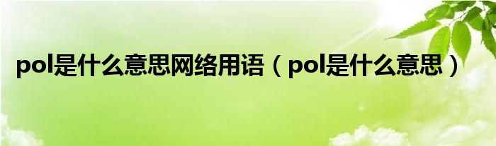 pol是什么意思网络用语（pol是什么意思）