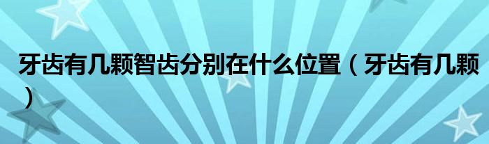牙齿有几颗智齿分别在什么位置（牙齿有几颗）
