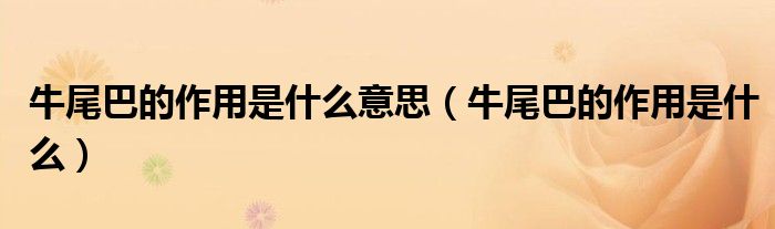 牛尾巴的作用是什么意思（牛尾巴的作用是什么）