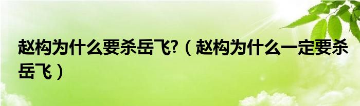 赵构为什么要杀岳飞?（赵构为什么一定要杀岳飞）