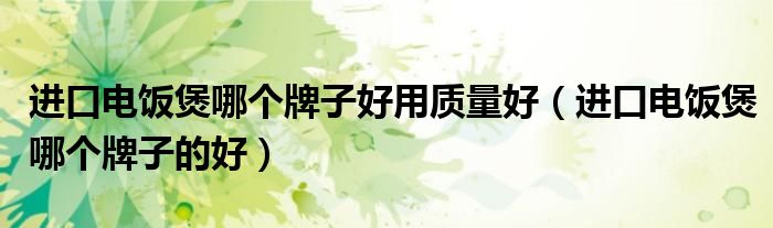 进口电饭煲哪个牌子好用质量好（进口电饭煲哪个牌子的好）