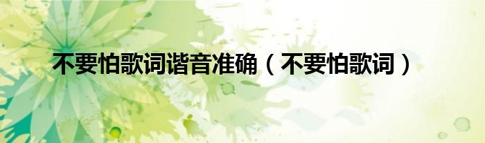 不要怕歌词谐音准确（不要怕歌词）