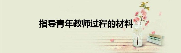 指导青年教师过程的材料