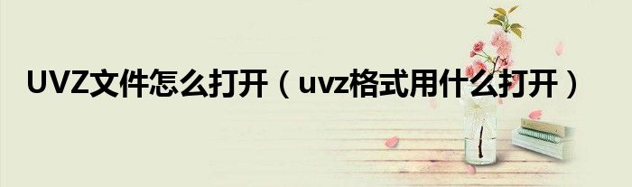 UVZ文件怎么打开（uvz格式用什么打开）