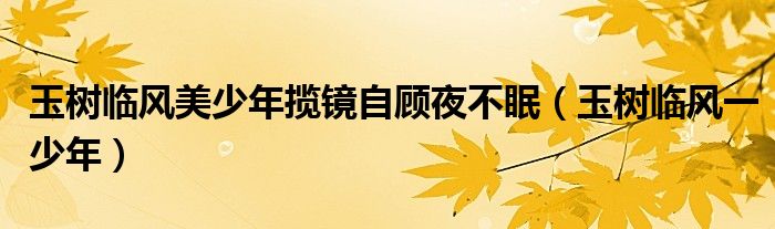 玉树临风美少年揽镜自顾夜不眠（玉树临风一少年）