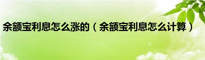 余额宝利息怎么涨的（余额宝利息怎么计算）