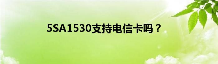 5SA1530支持电信卡吗？