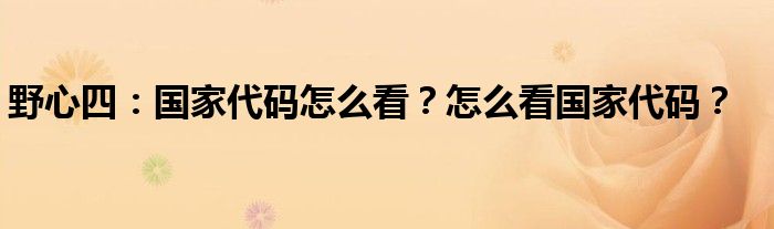 野心四：国家代码怎么看？怎么看国家代码？