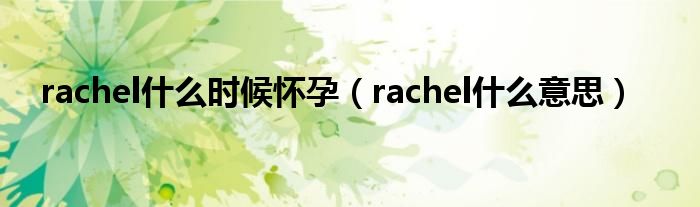 rachel什么时候怀孕（rachel什么意思）