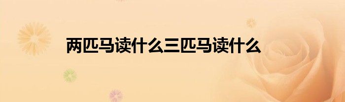 两匹马读什么三匹马读什么