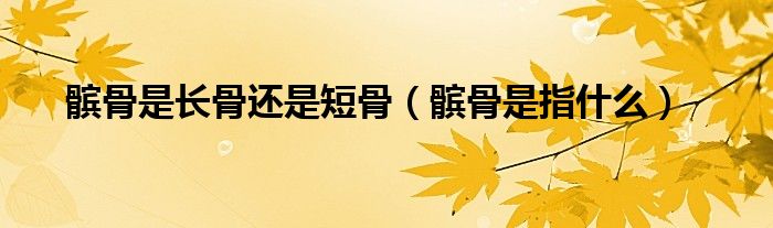 髌骨是长骨还是短骨（髌骨是指什么）