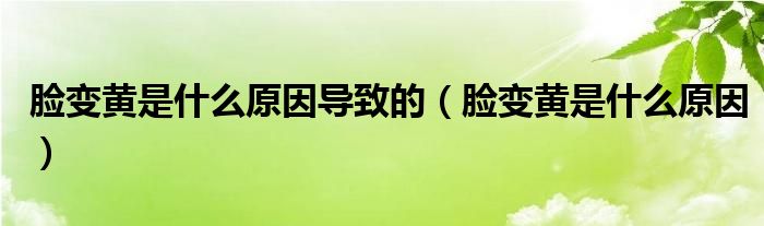 脸变黄是什么原因导致的（脸变黄是什么原因）