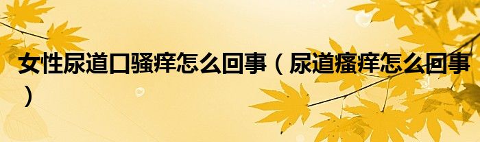 女性尿道口骚痒怎么回事（尿道瘙痒怎么回事）