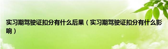 实习期驾驶证扣分有什么后果（实习期驾驶证扣分有什么影响）