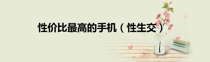 性价比最高的手机（性生交）