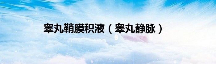 睾丸鞘膜积液（睾丸静脉）