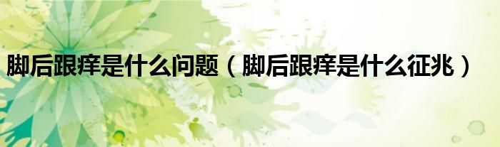 脚后跟痒是什么问题（脚后跟痒是什么征兆）