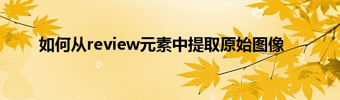 如何从review元素中提取原始图像