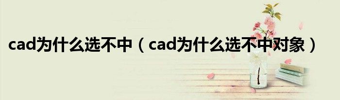 cad为什么选不中（cad为什么选不中对象）