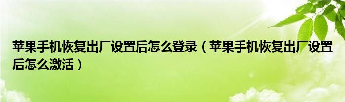 苹果手机恢复出厂设置后怎么登录（苹果手机恢复出厂设置后怎么激活）