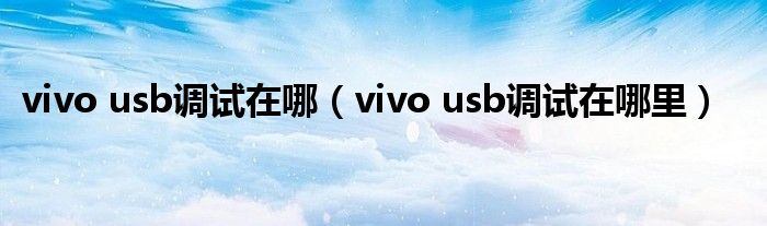 vivo usb调试在哪（vivo usb调试在哪里）