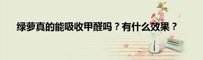 绿萝真的能吸收甲醛吗？有什么效果？
