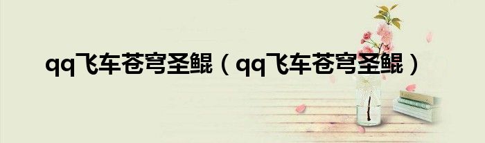 qq飞车苍穹圣鲲（qq飞车苍穹圣鲲）