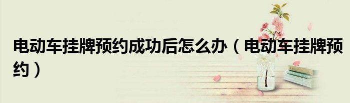 电动车挂牌预约成功后怎么办（电动车挂牌预约）