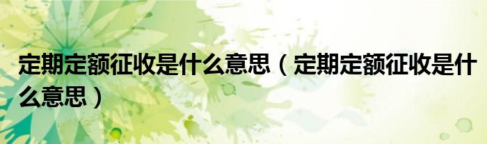 定期定额征收是什么意思（定期定额征收是什么意思）