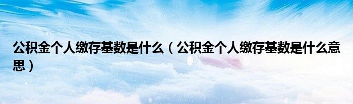 公积金个人缴存基数是什么（公积金个人缴存基数是什么意思）