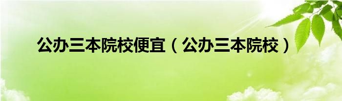 公办三本院校便宜（公办三本院校）