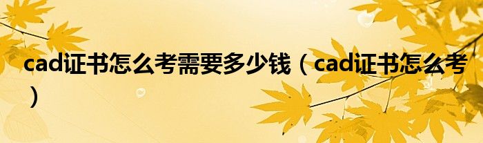 cad证书怎么考需要多少钱（cad证书怎么考）