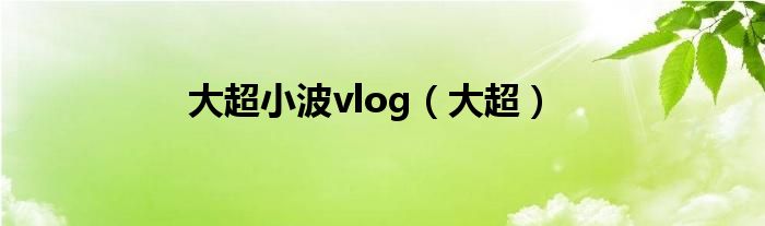 大超小波vlog（大超）