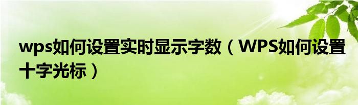 wps如何设置实时显示字数（WPS如何设置十字光标）
