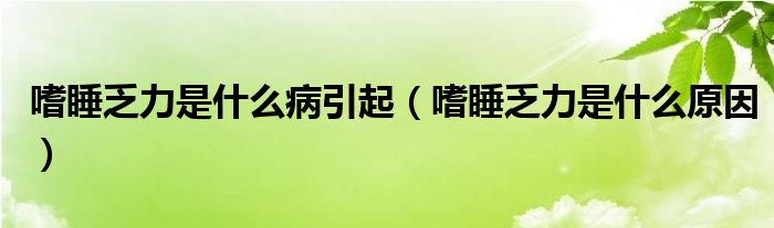 嗜睡乏力是什么病引起（嗜睡乏力是什么原因）