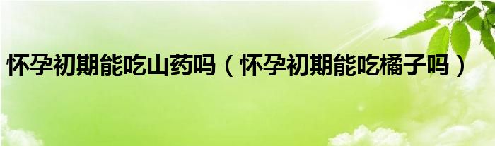 怀孕初期能吃山药吗（怀孕初期能吃橘子吗）