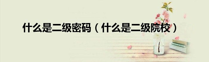 什么是二级密码（什么是二级院校）
