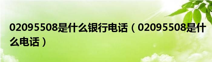 02095508是什么银行电话（02095508是什么电话）