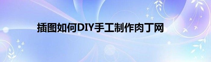 插图如何DIY手工制作肉丁网