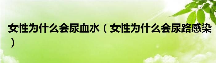 女性为什么会尿血水（女性为什么会尿路感染）