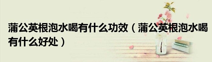 蒲公英根泡水喝有什么功效（蒲公英根泡水喝有什么好处）
