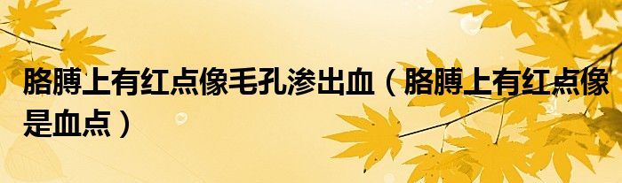 胳膊上有红点像毛孔渗出血（胳膊上有红点像是血点）