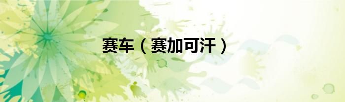 赛车（赛加可汗）